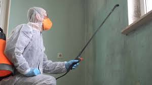 Stanton, TX Mold Remediation Company